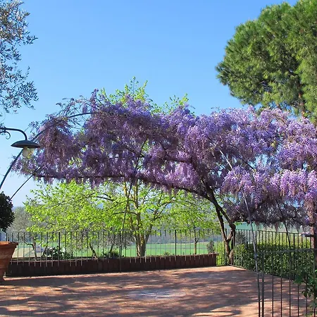 San Michele Bed & Breakfast 3*
