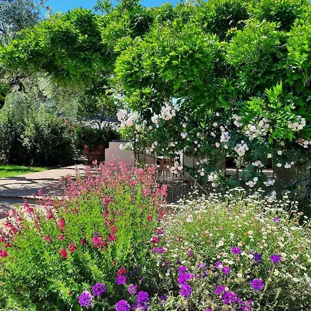 住宿加早餐酒店 San Michele 4*